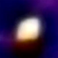 cuckooshrike-thermal