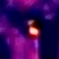 duck-thermal