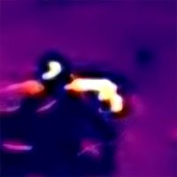 fox-thermal