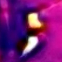 galah-thermal