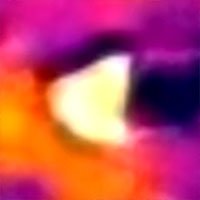 gosshawk-nest-thermal