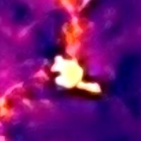 kangaroo-pouch-thermal