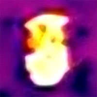 koala-thermal