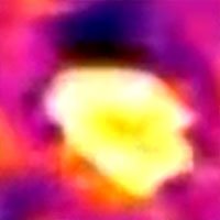 python-thermal